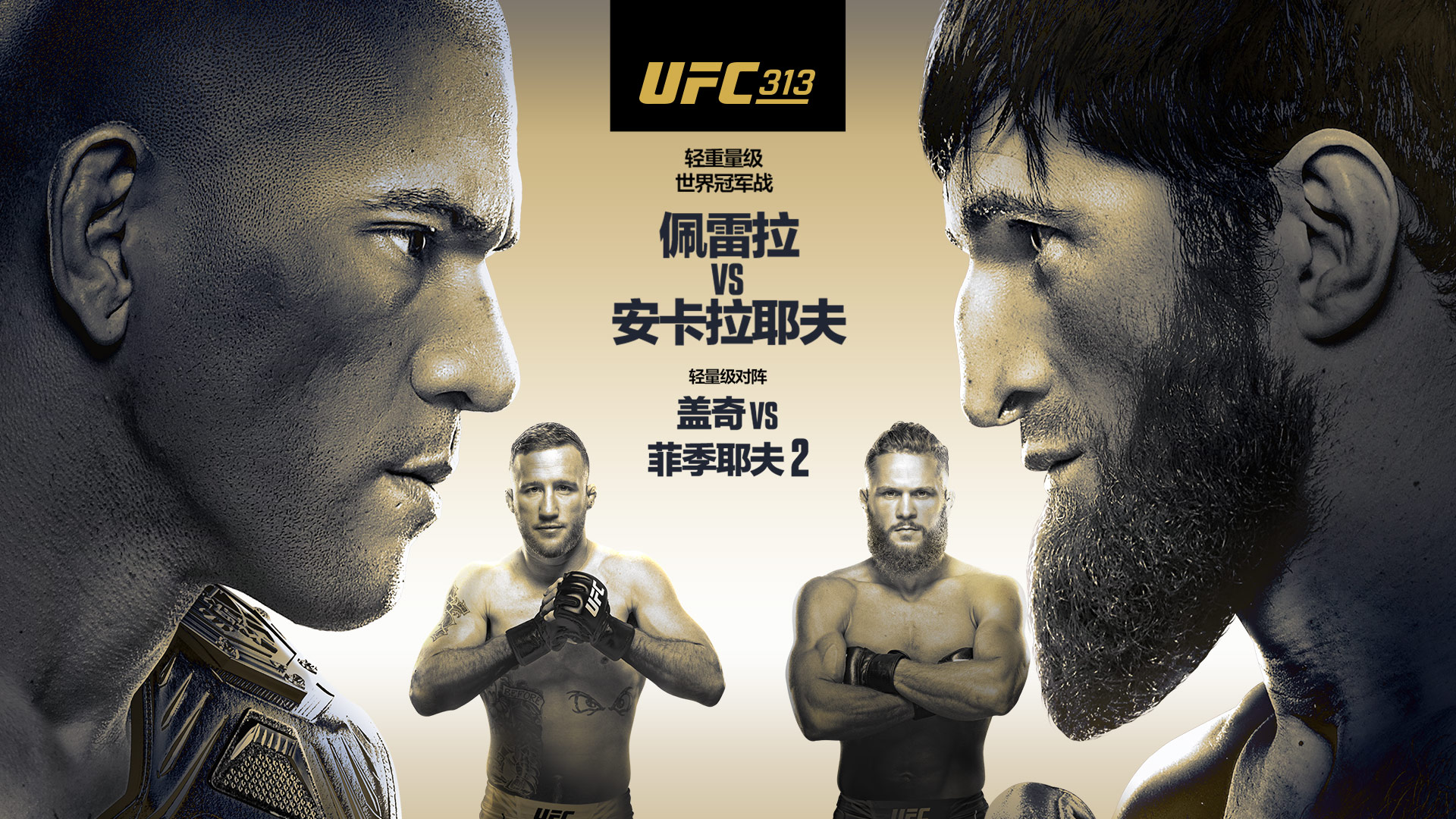 ufc直播 ufc视频录像 ufc终极格斗冠军赛 免费ufc网站
