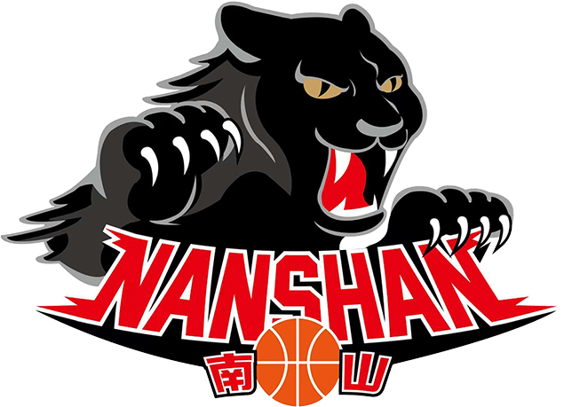 新北市南山高中队