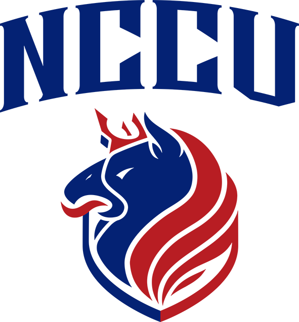 政治大學