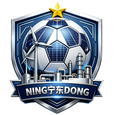 宁东队