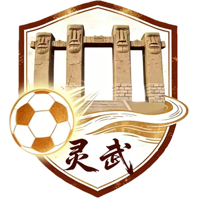 灵武队